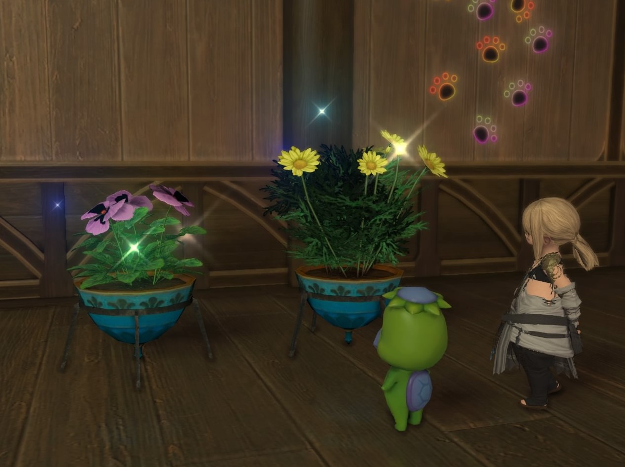 プランター 植木鉢 で花を栽培しよう